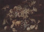 Still life of red and white grapes,peaches and plums,on a stone ledge unknow artist